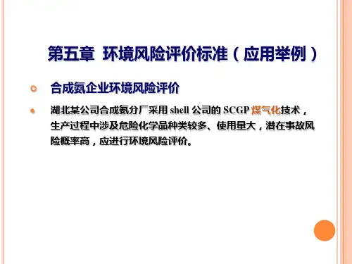 第五章-环境风险评价标准(应用举例PPT课件