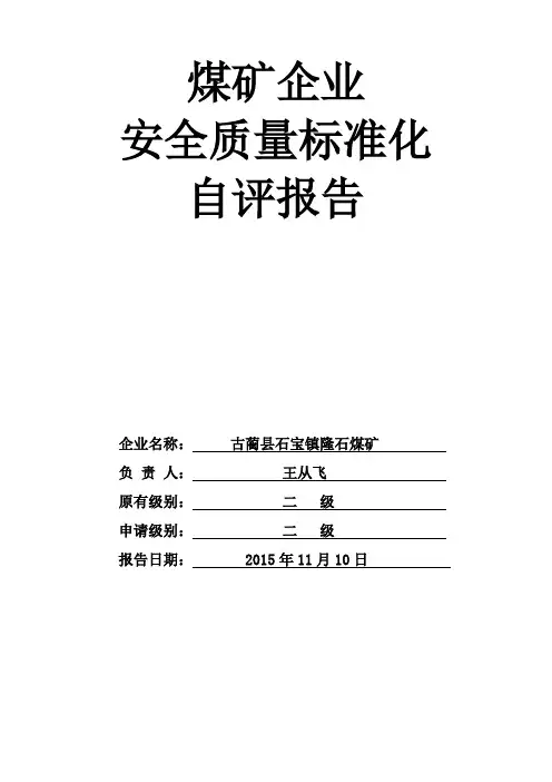 XXXXXX煤矿二级质量标准化自评报告