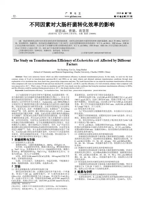 不同因素对大肠杆菌转化效率的影响