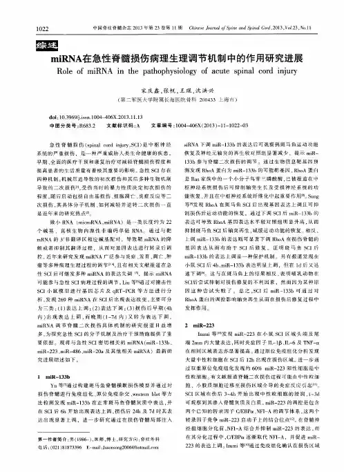miRNA在急性脊髓损伤病理生理调节机制中的作用研究进展