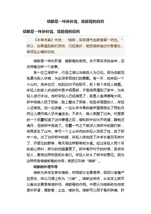 续断是一味补肝肾、接筋骨的良药