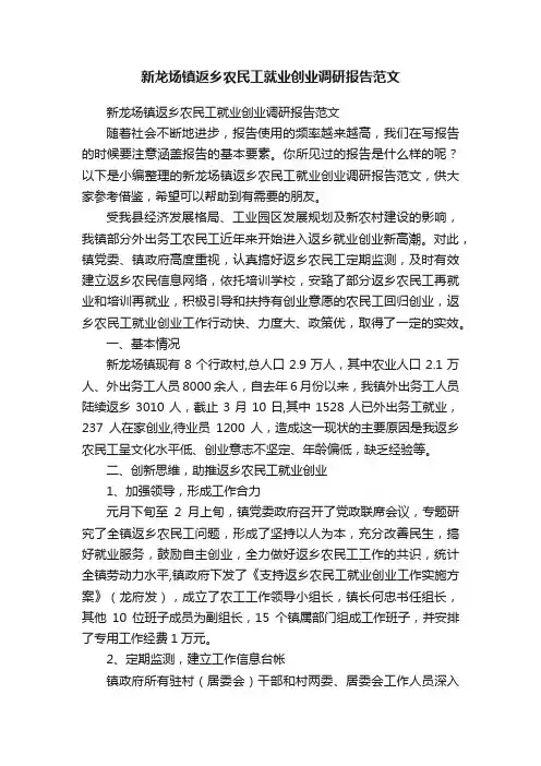 新龙场镇返乡农民工就业创业调研报告范文