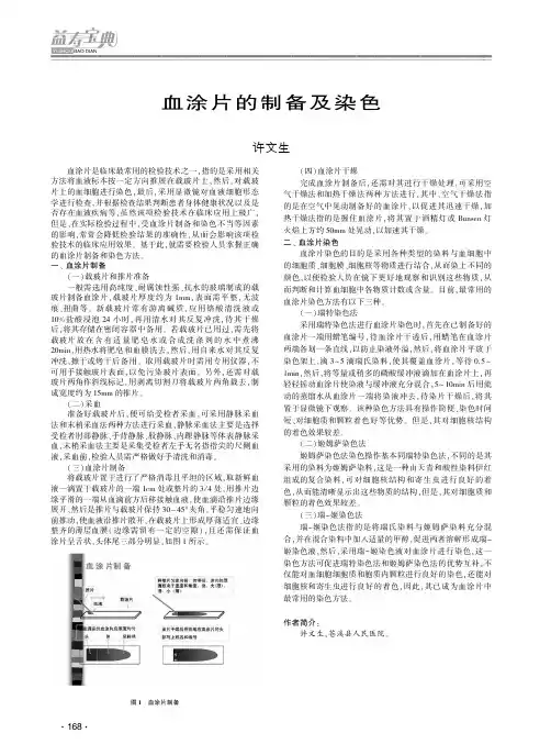 血涂片的制备及染色