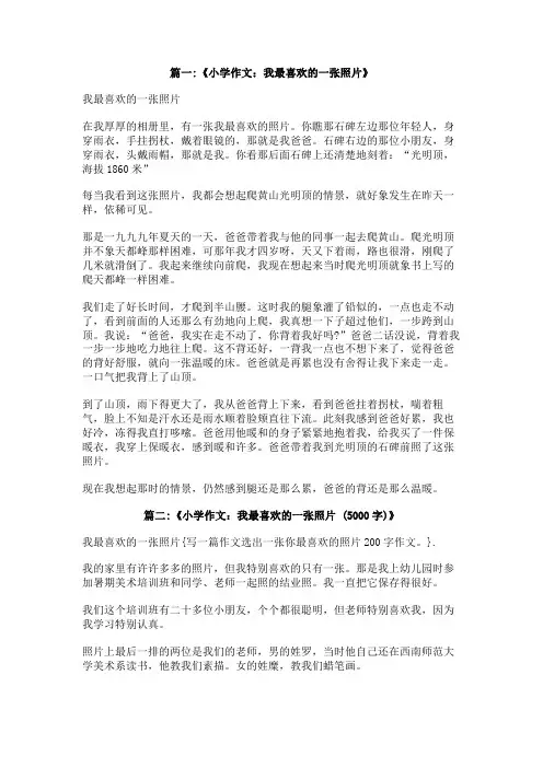 写一篇作文选出一张你最喜欢的照片200字作文。