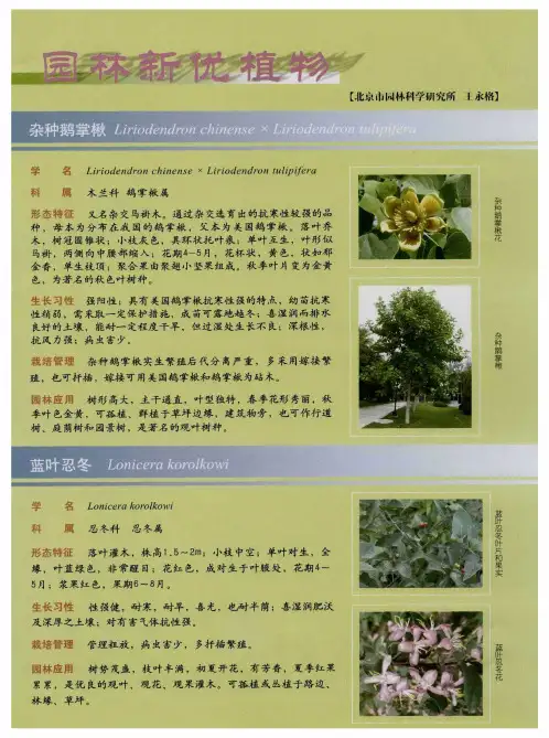 园林新优植物