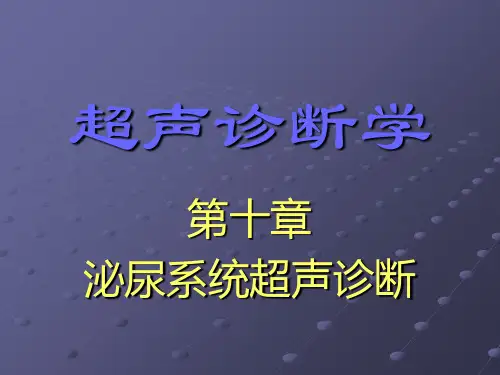 超声诊断学泌尿超声诊断 ppt课件