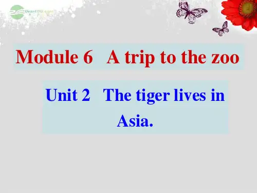 外研版七年级英语上册Module6 A trip to the zoo-Unit2课件