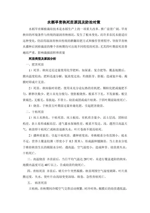 水稻旱育秧死苗原因及防治对策