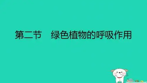 七年级生物上册3.5.2《绿色植物的呼吸作用》课件(18张ppt)(新版)新人教版