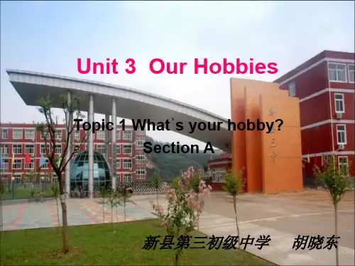 仁爱版八年级英语上Unit 3 Our Hobbies Topic 1 what's your hobby Section A  (共17张PPT)