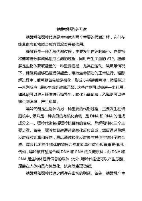 糖酵解 嘌呤代谢