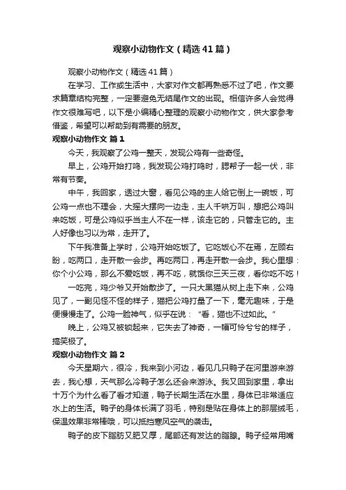 观察小动物作文（精选41篇）