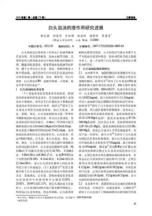 白头翁汤药理作用研究进展