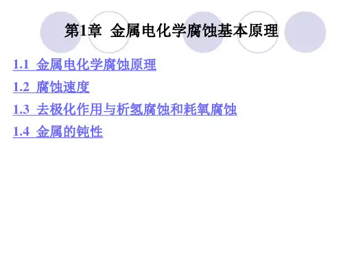 金属电化学腐蚀基本原理