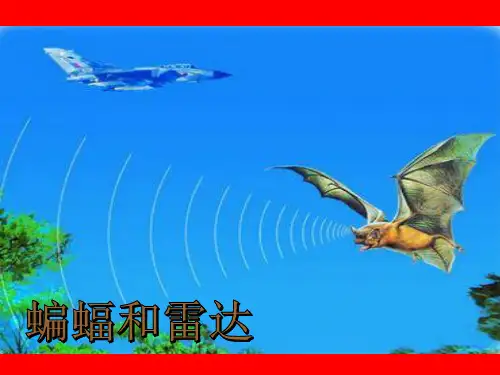 11 《蝙蝠和雷达》优质课精心制作ppt
