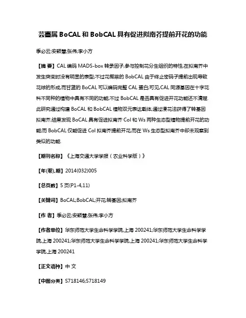 芸薹属BoCAL和BobCAL具有促进拟南芥提前开花的功能