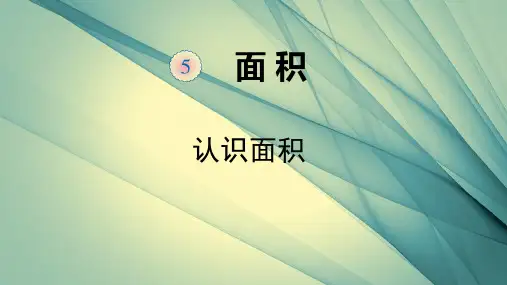 三年级下册数学PPT课件1认识面积∣人教新课标13