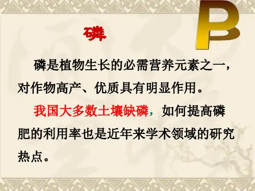 第4章 磷素