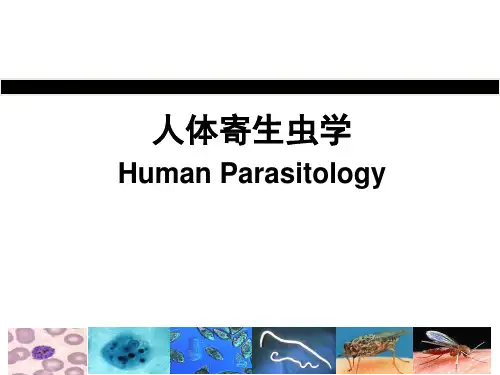人体寄生虫学课件：人体寄生虫学总论