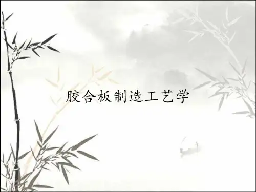 胶合板制造工艺学