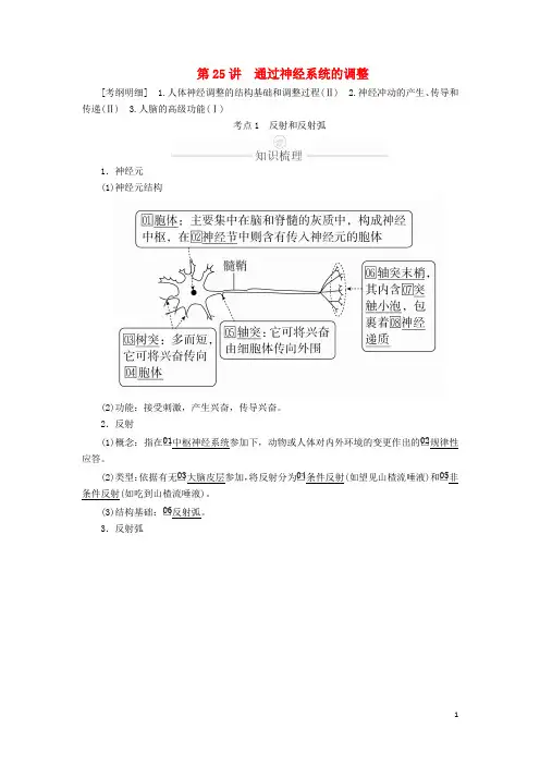 2024年高考生物一轮复习第8单元生命活动的调节第25讲通过神经系统的调节学案含解析必修3