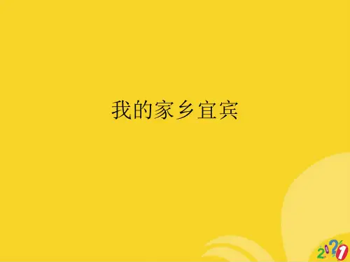 我的家乡宜宾标准版资料