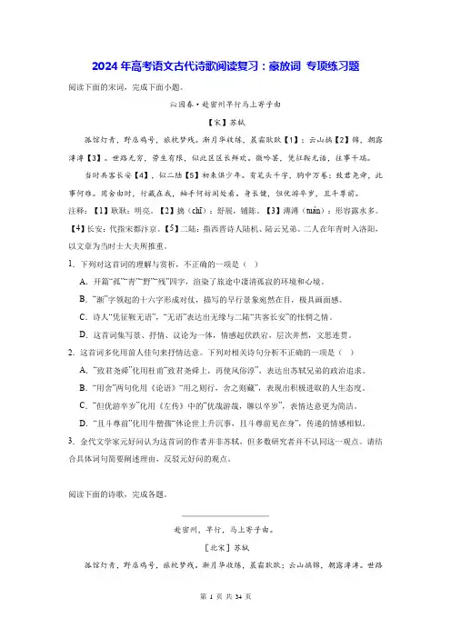 2024年高考语文古代诗歌阅读复习：豪放词 专项练习题(含答案解析)