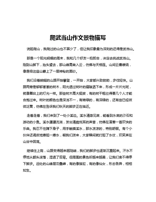 爬武当山作文景物描写