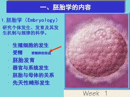 本硕班胚胎学绪论总论(共106张PPT)