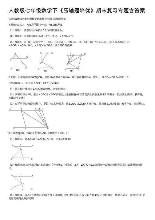 人教版七年级数学下《压轴题培优》期末复习专题含答案