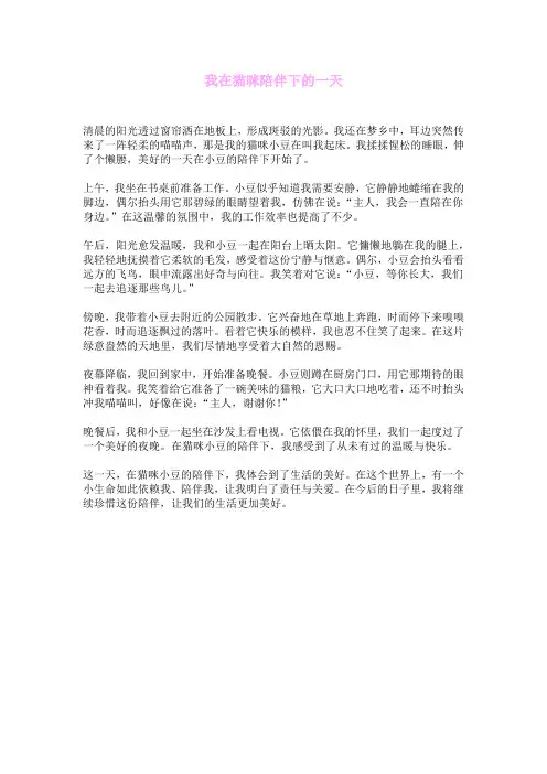 我在猫咪陪伴下的一天