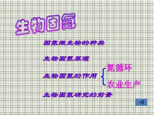 生物固氮.ppt