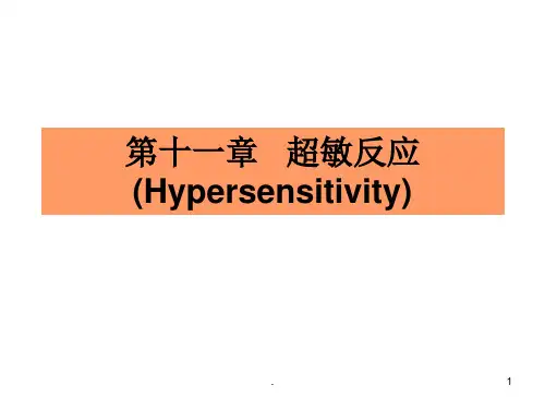 超敏反应PPT课件 