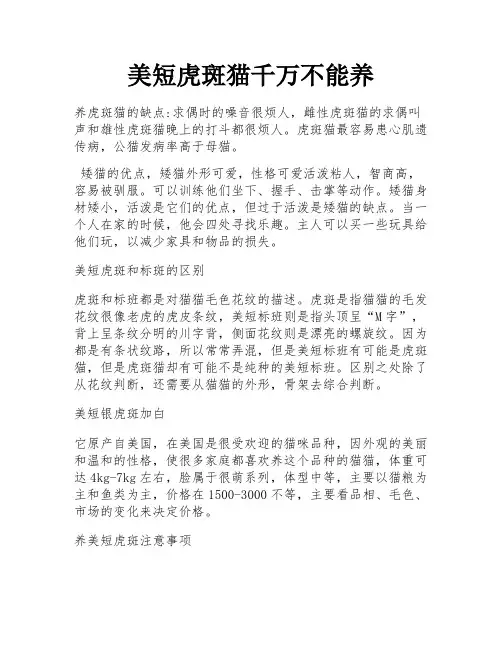 美短虎斑猫千万不能养