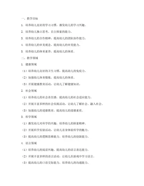 大班教学工作计划五大领域