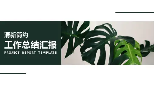 精选ppt清新简约工作总结汇报PPT