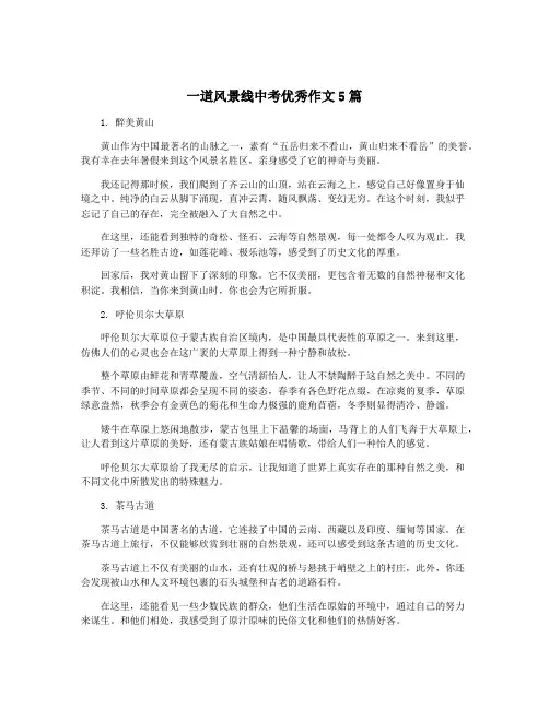 一道风景线中考优秀作文5篇