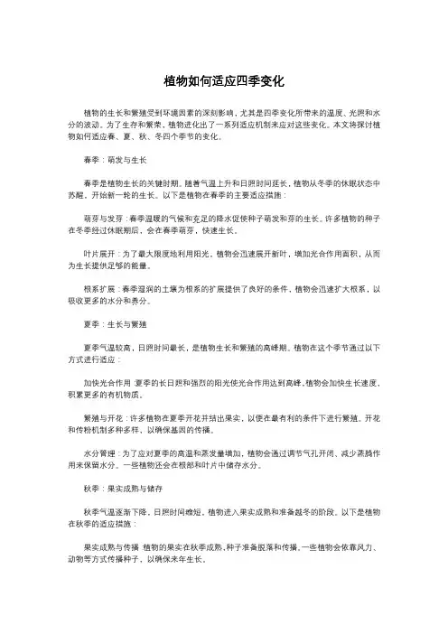 植物如何适应四季变化