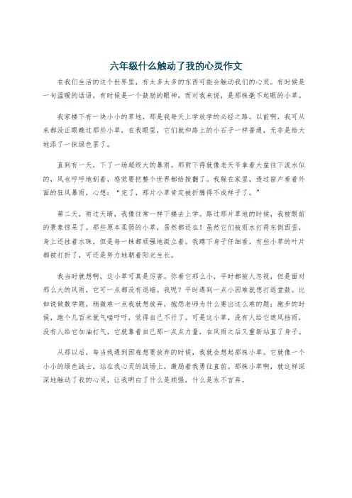 六年级什么触动了我的心灵作文