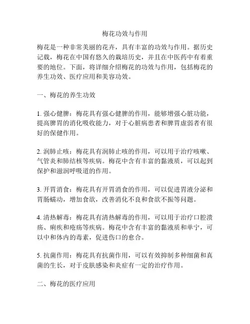 梅花功效与作用