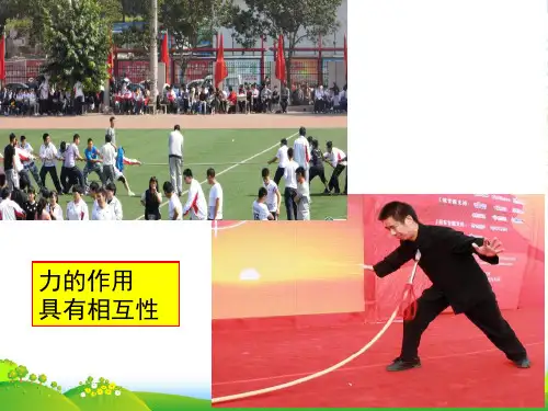 新人教高中物理 课件 必修一4.5牛顿第三定律