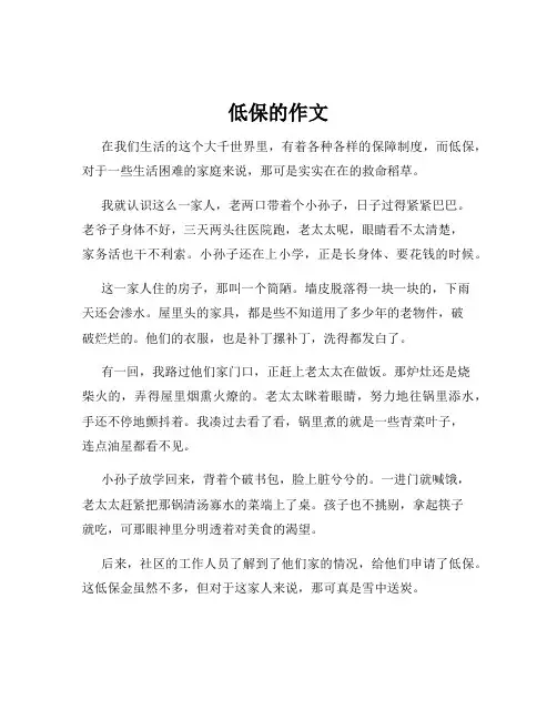低保的作文