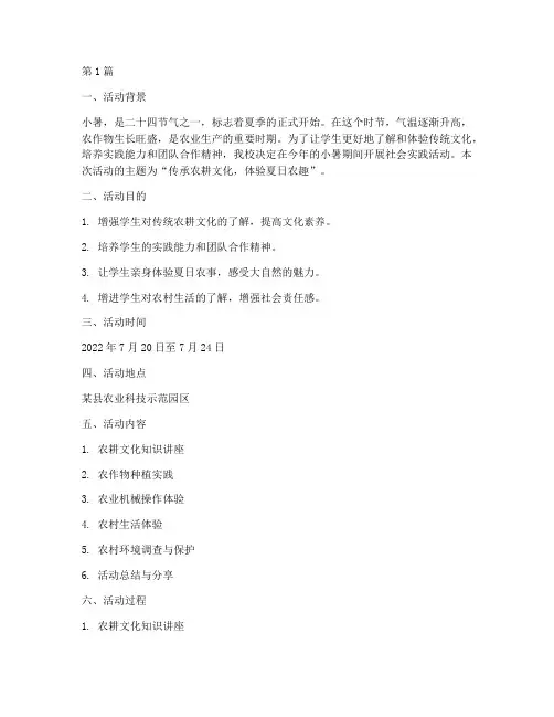 小暑社会实践活动(3篇)