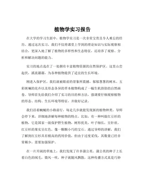 植物学实习报告