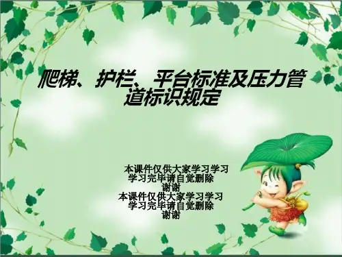 爬梯、护栏、平台标准及压力管道标识规定