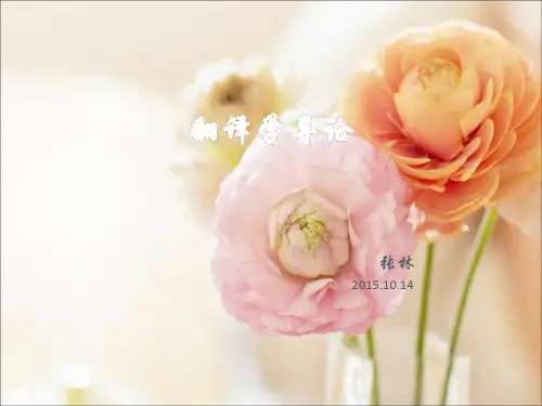 翻译学导论剖析