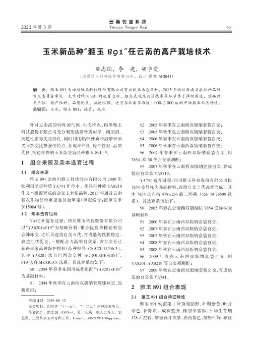 玉米新品种“雅玉891”在云南的高产栽培技术