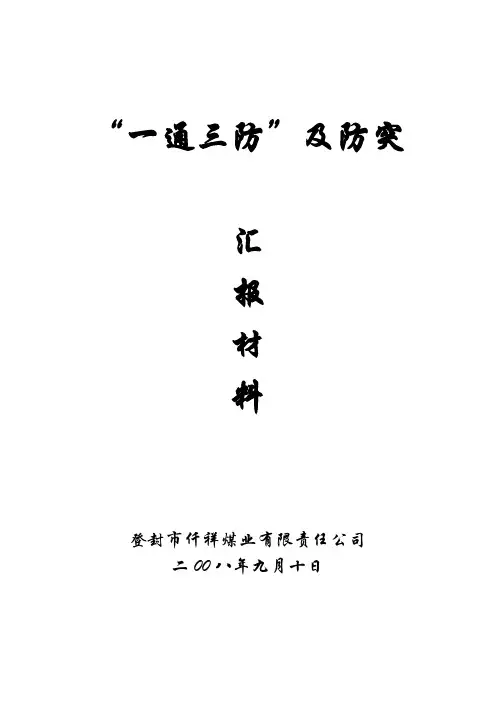 一通三防及防突汇报材料