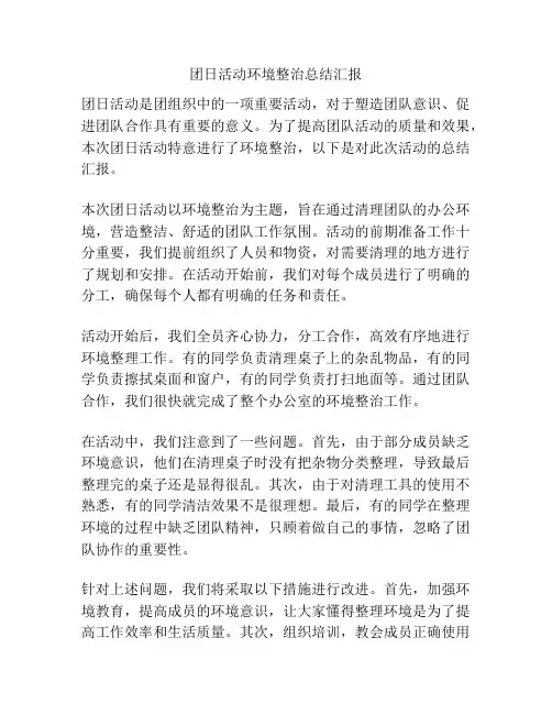 团日活动环境整治总结汇报