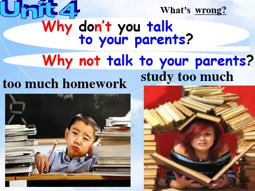 人教新目标版八年级英语下册课件《Unit4 Why don’t you tSection A(1a-2d)课件